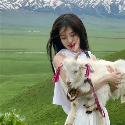 红龟红乌龟:小岛物语