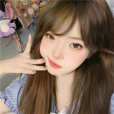社会学家和小熊 在线观看